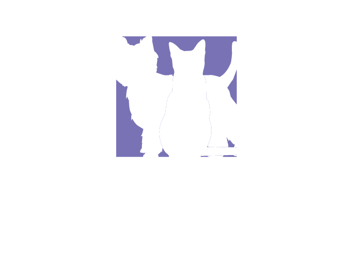 South Mission Animal Hospital